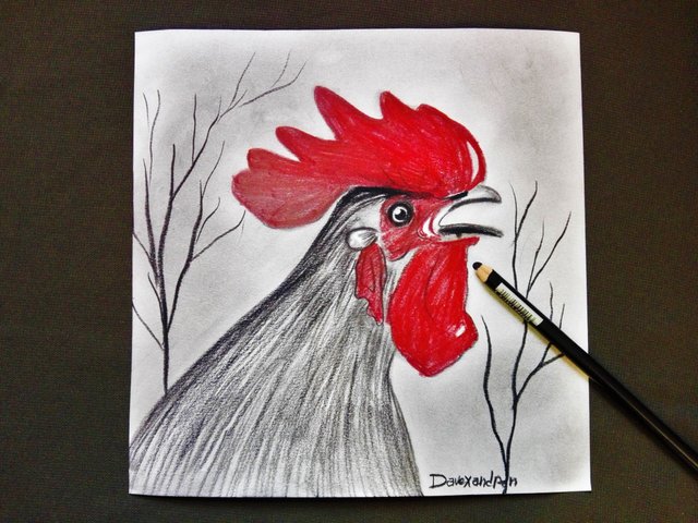 rooster(251).jpg