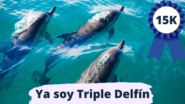 Ya soy Triple Delfín.png