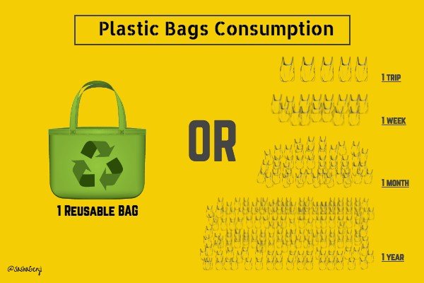 sashagenji_2018_eligible_to_reuse_Plastic_bags_consumption.jpg