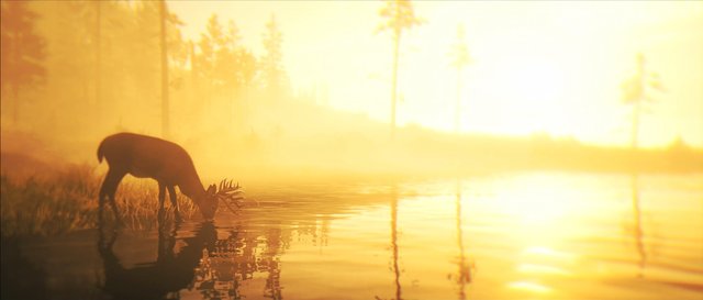 RDR2_2.jpg
