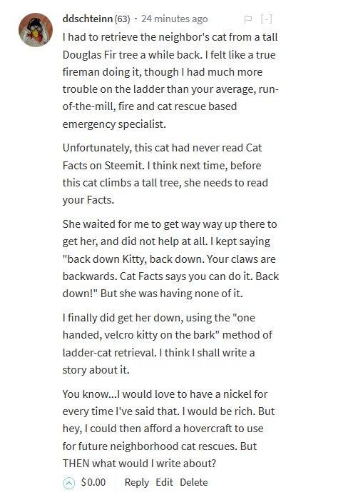 McCluk Story One- velcro cat rescue 2.PNG