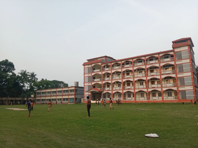 IMG_20250602_222424.jpg