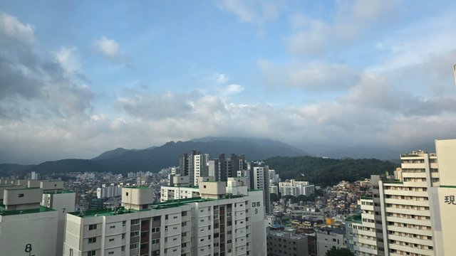 1000127098.jpg