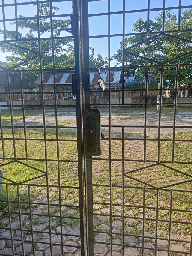 1000104671.jpg