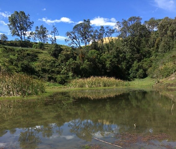 Reserva-llanito-trujillo17.JPG