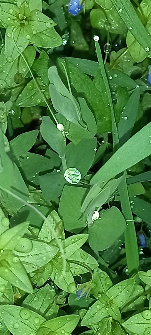 20250225_101232.jpg