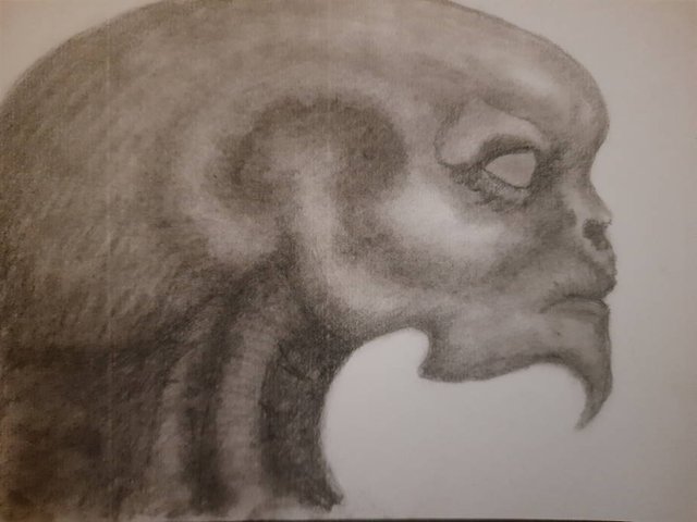 20250707_111016.jpg