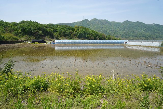 b-DSC01101.JPG