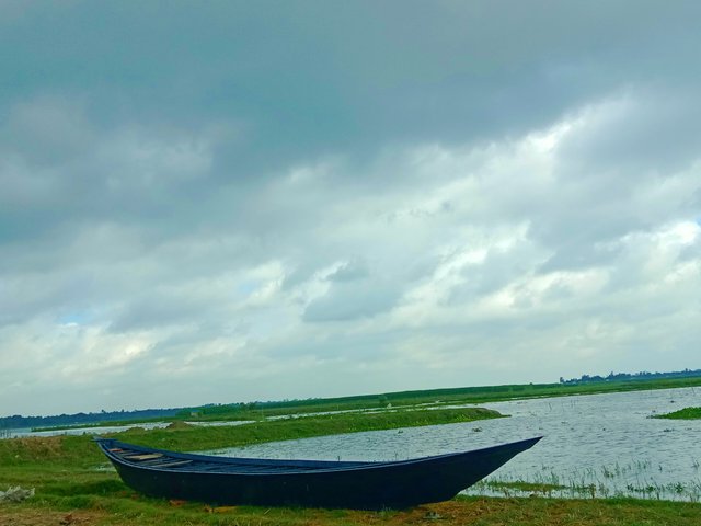IMG_20250809_203152.jpg