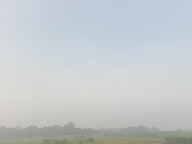 IMG20250901061918.jpg