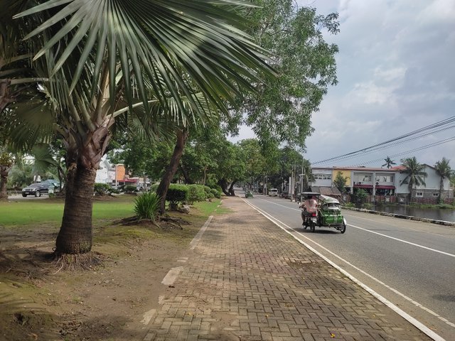 IMG_20250731_094735.jpg