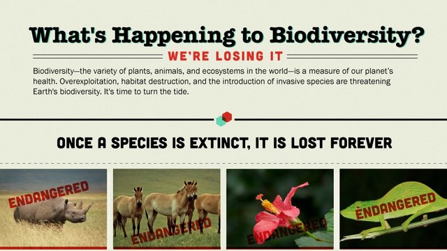 biodiversity-infographic-2012.jpg