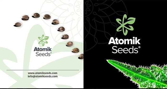 Atomik Seeds feminised and autoflowering cannabis seeds.jpg