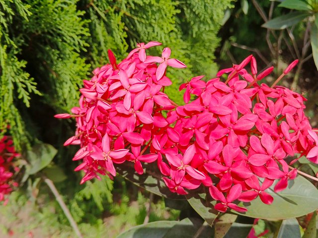 IMG_20250528_131208_011.jpg