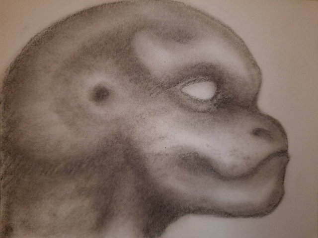 20250925_103959.jpg
