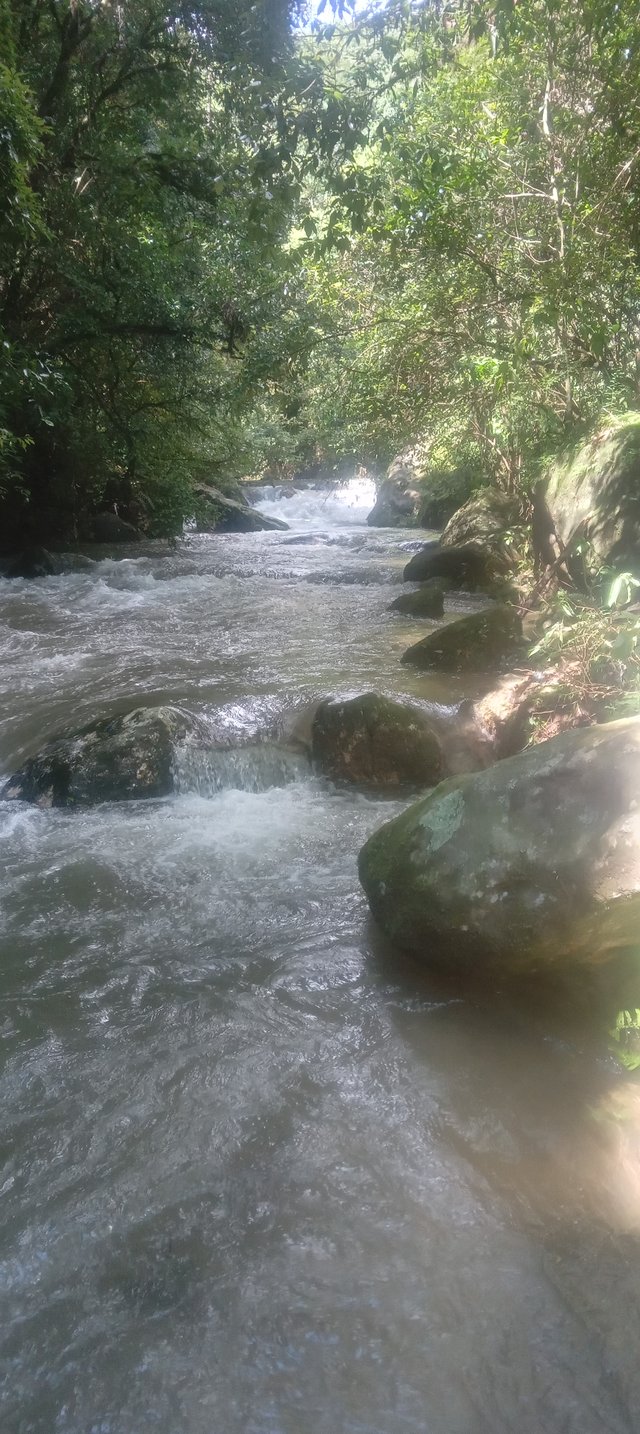 20250819_141942.jpg