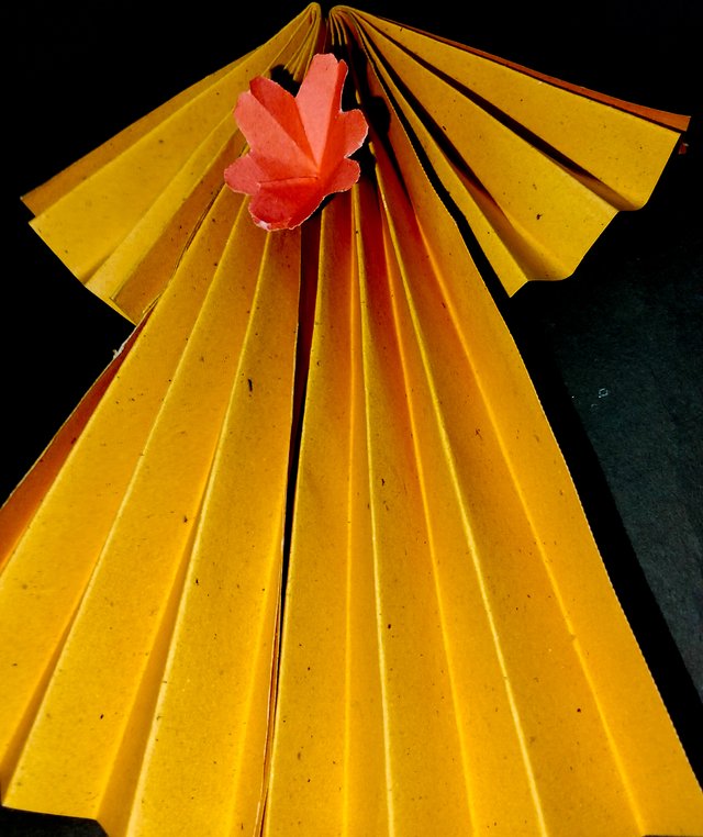 IMG20250720173907.jpg