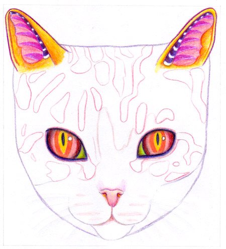 drawing-the-designs-on-the-cat.jpg