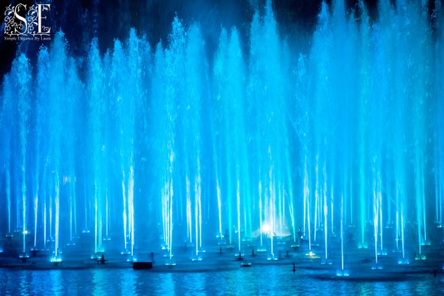 World of Color (18).jpg