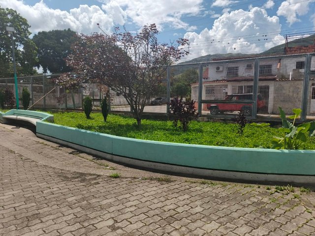 1000616151.jpg