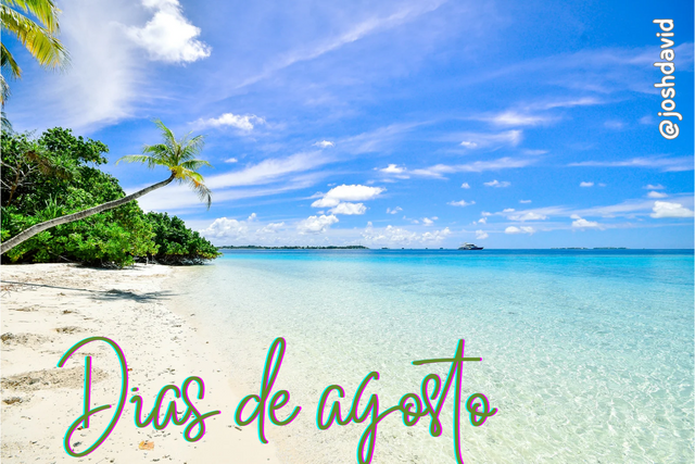 Dias de agosto_20250805_203502_0000.png