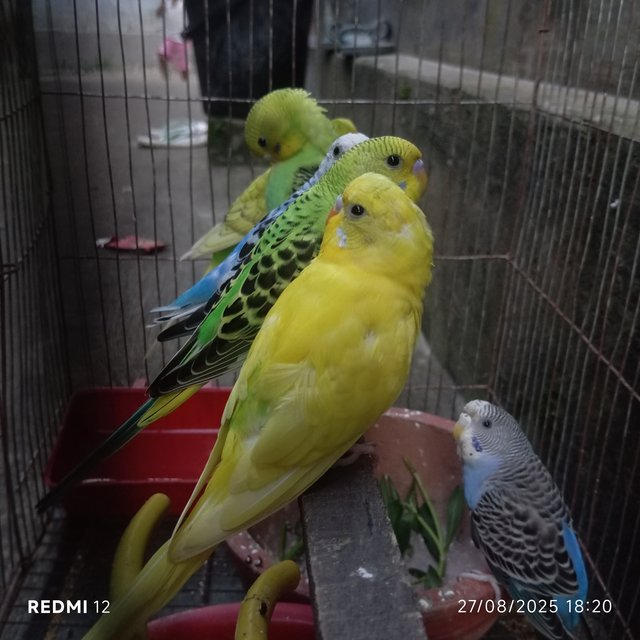 1000027959.jpg