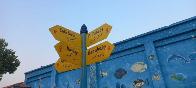 Direction Pole.jpeg