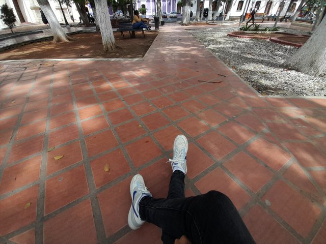 20250519_104406.jpg