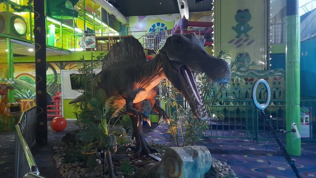 20250907_140355.jpg