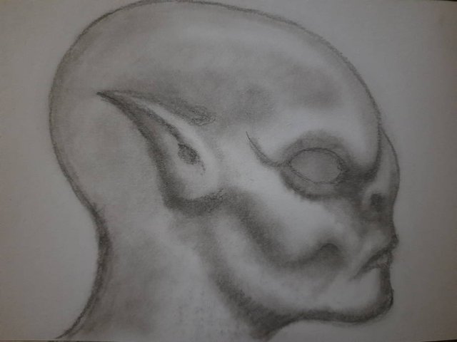 20250817_092737.jpg