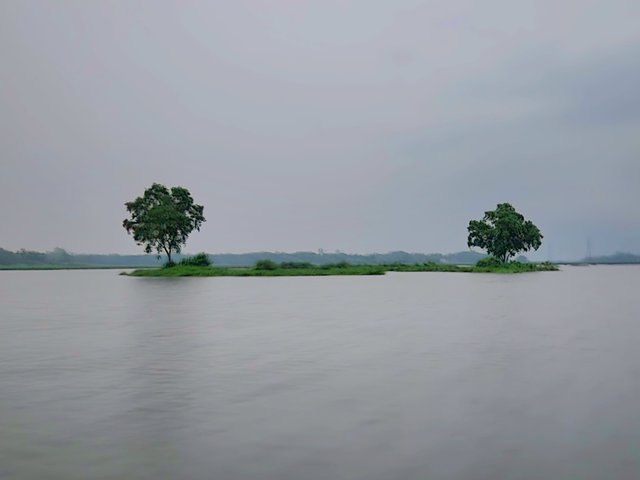 1000069429.jpg