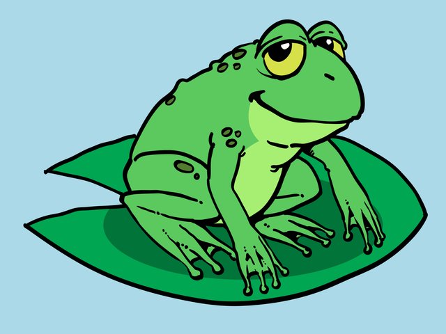 Draw-a-Cartoon-Frog-Step-10.jpg