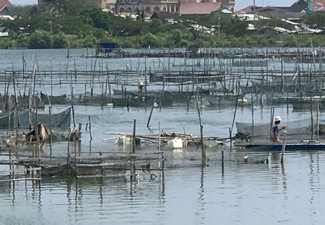 Kerapung_02.jpg