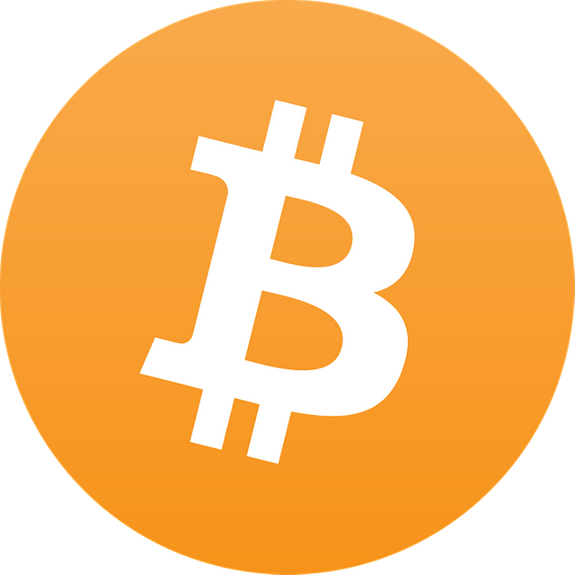 bitcoin-225079_960_720.png