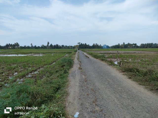 IMG20250613155113.jpg