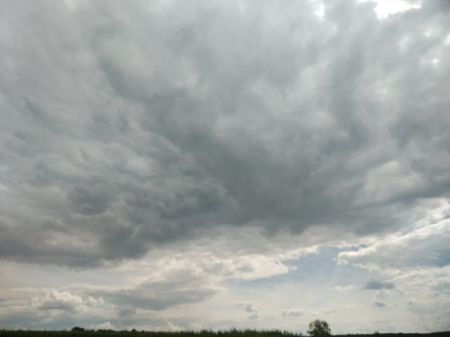 IMG_20250528_153753.jpg