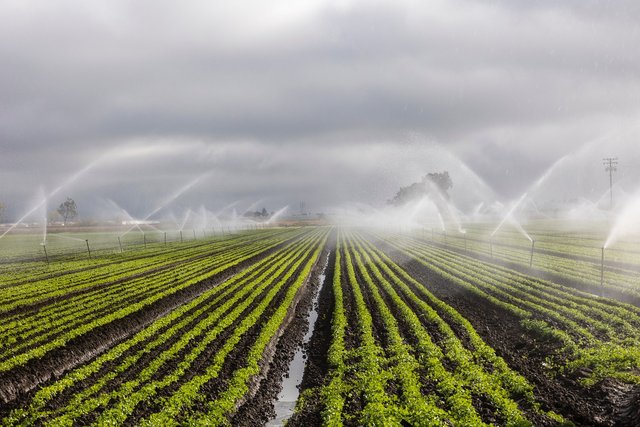 irrigation-7262563_1280.jpg