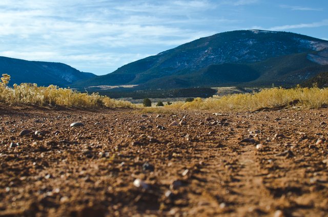 Down on the wide plain dirt road.JPG