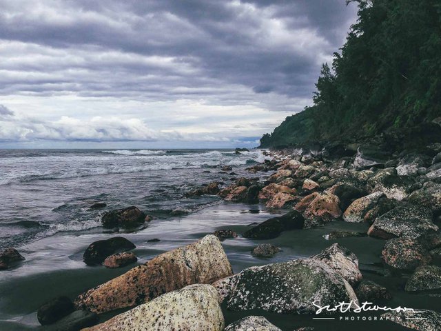 Vancouver Island-4.jpg