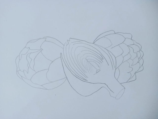 Artichoke (5).jpg