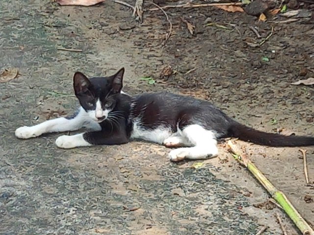 20250602_113400.jpg