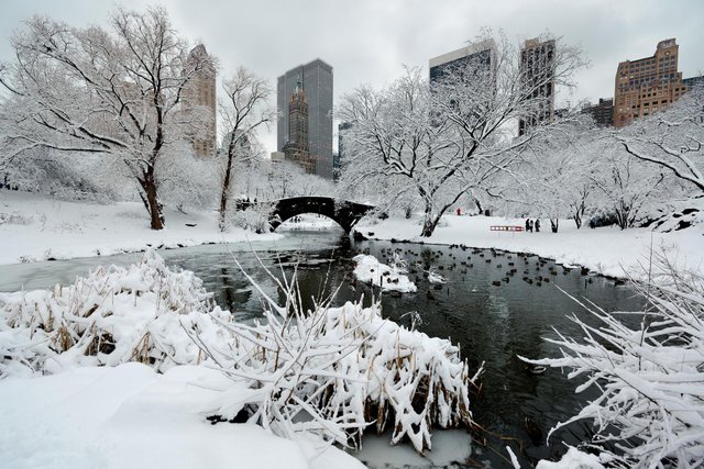 inverno-di-central-park-con-grattacieli-e-ponte-nel-centro-di-manhattan-new-york-city.jpg