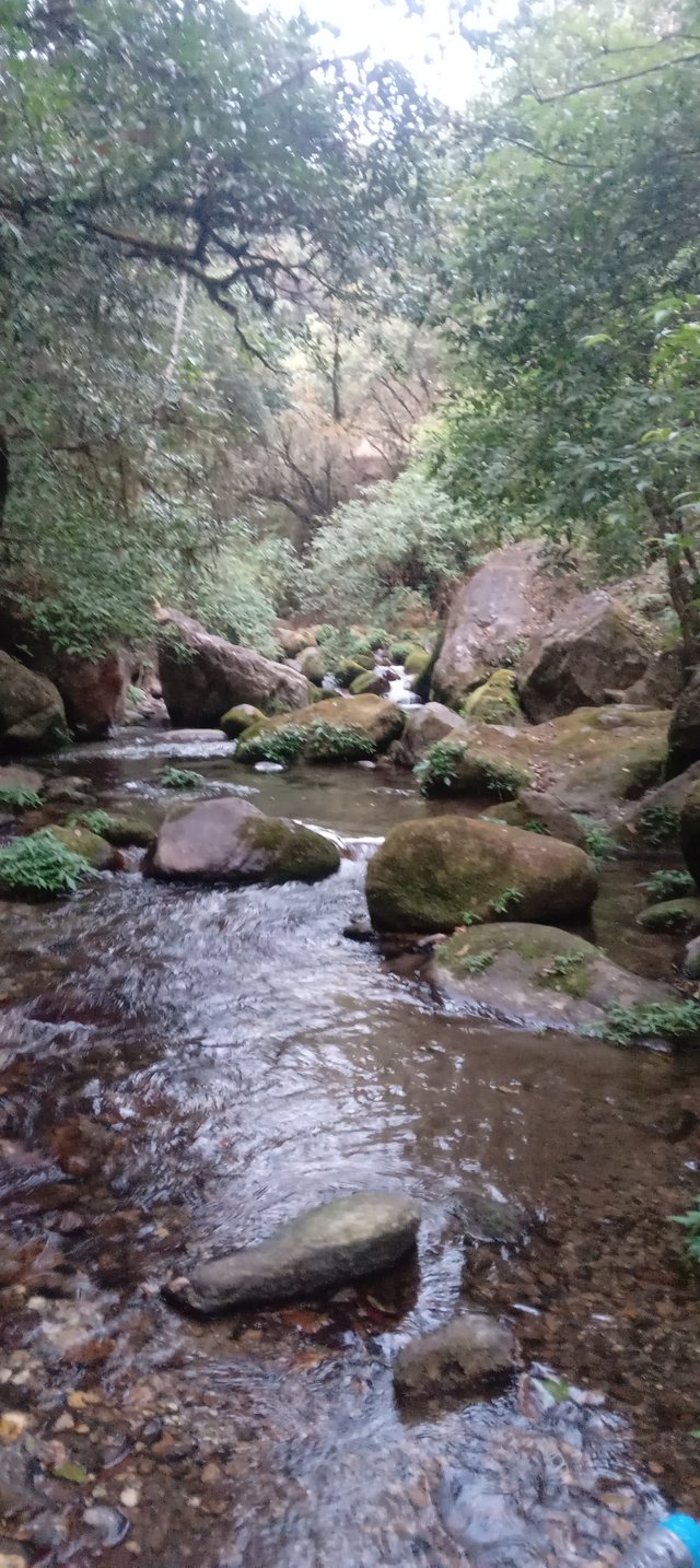 20250306_174218.jpg