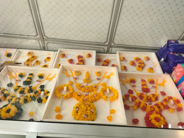 IMG20250930105644.jpg