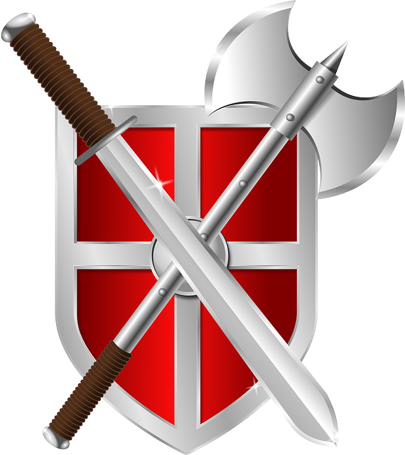 shield-33957_640.png