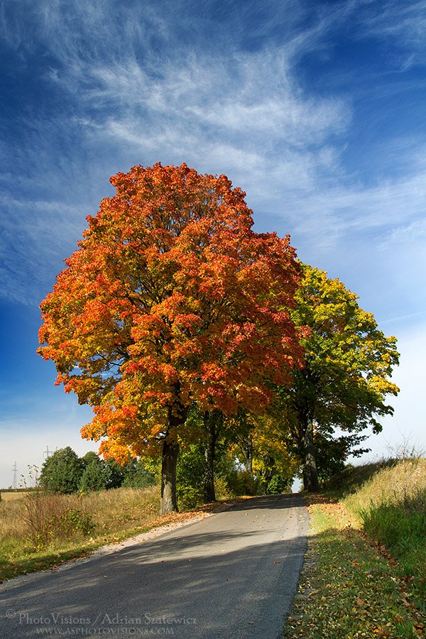 PA008-Road_to_Rus_4.jpg