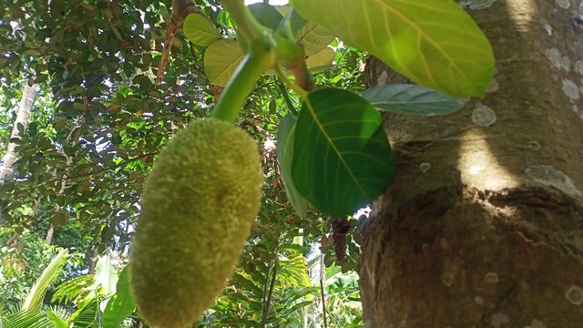IMG20250604120929.jpg