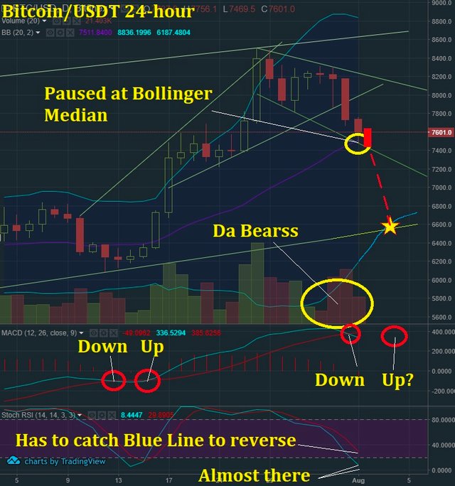 Aug 1 BTC T&A.jpg