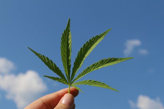 weedlite-cbd-cannabis-medizin.jpg