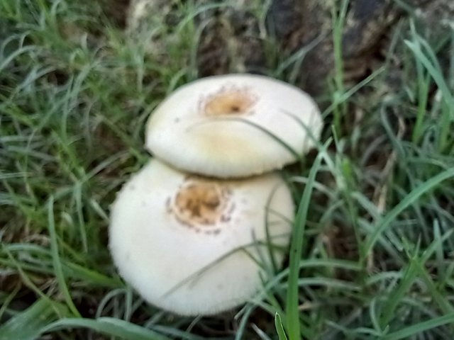 20250524_124042.jpg